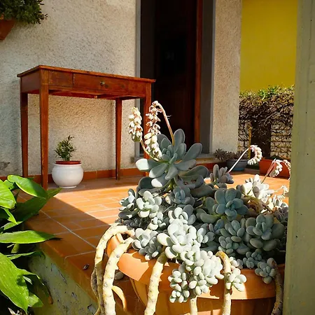 Casa Luminosa A 5 Min Dal Mare Apartment *
